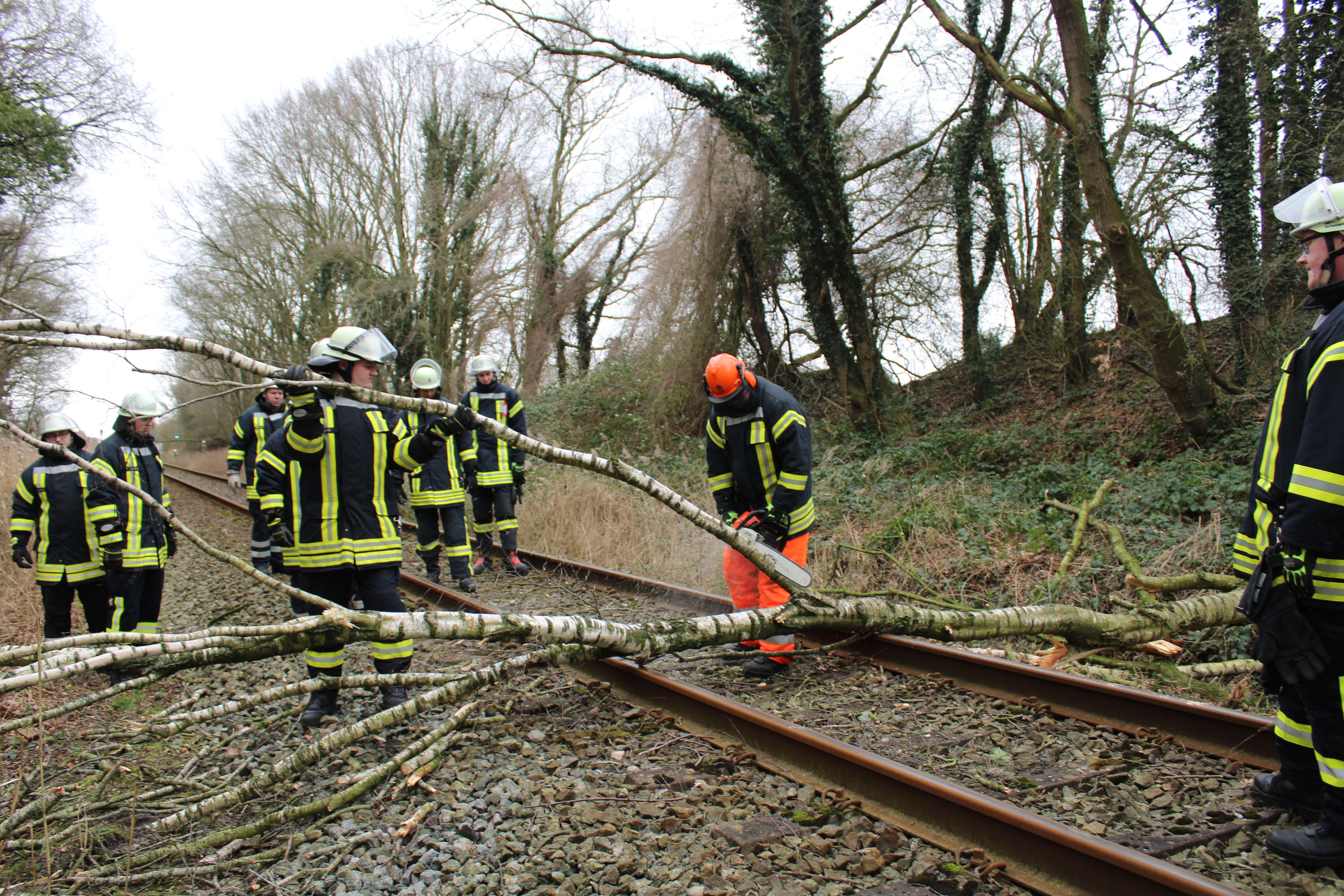 Zwei Bäume stürzten auf die Bahnstrecke an der Boenster Straße. © Rand (Feuerwehr)